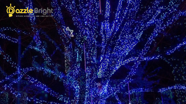 Amazon.com: Dazzle Bright Outdoor Christmas String Lights, 1000